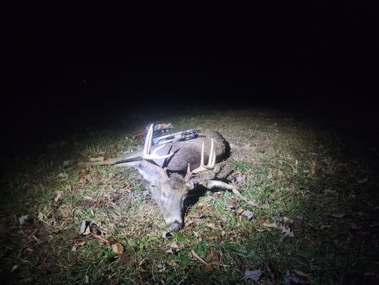 Buck after being retrieved by bow hunter.
